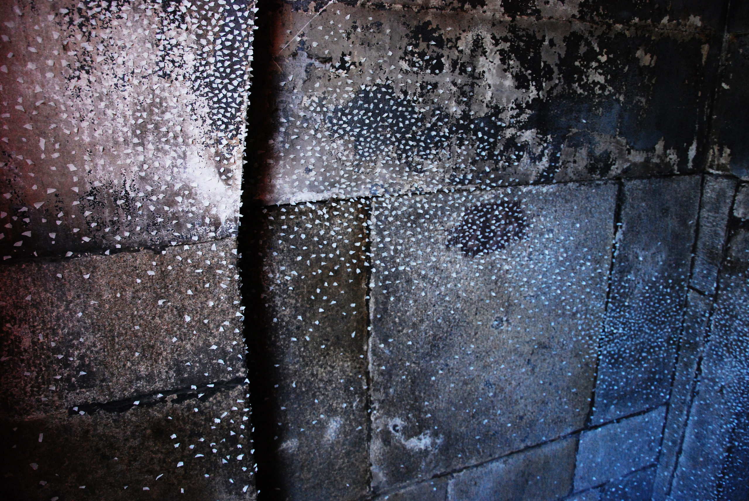 【◉】007 Tomoko Takayama