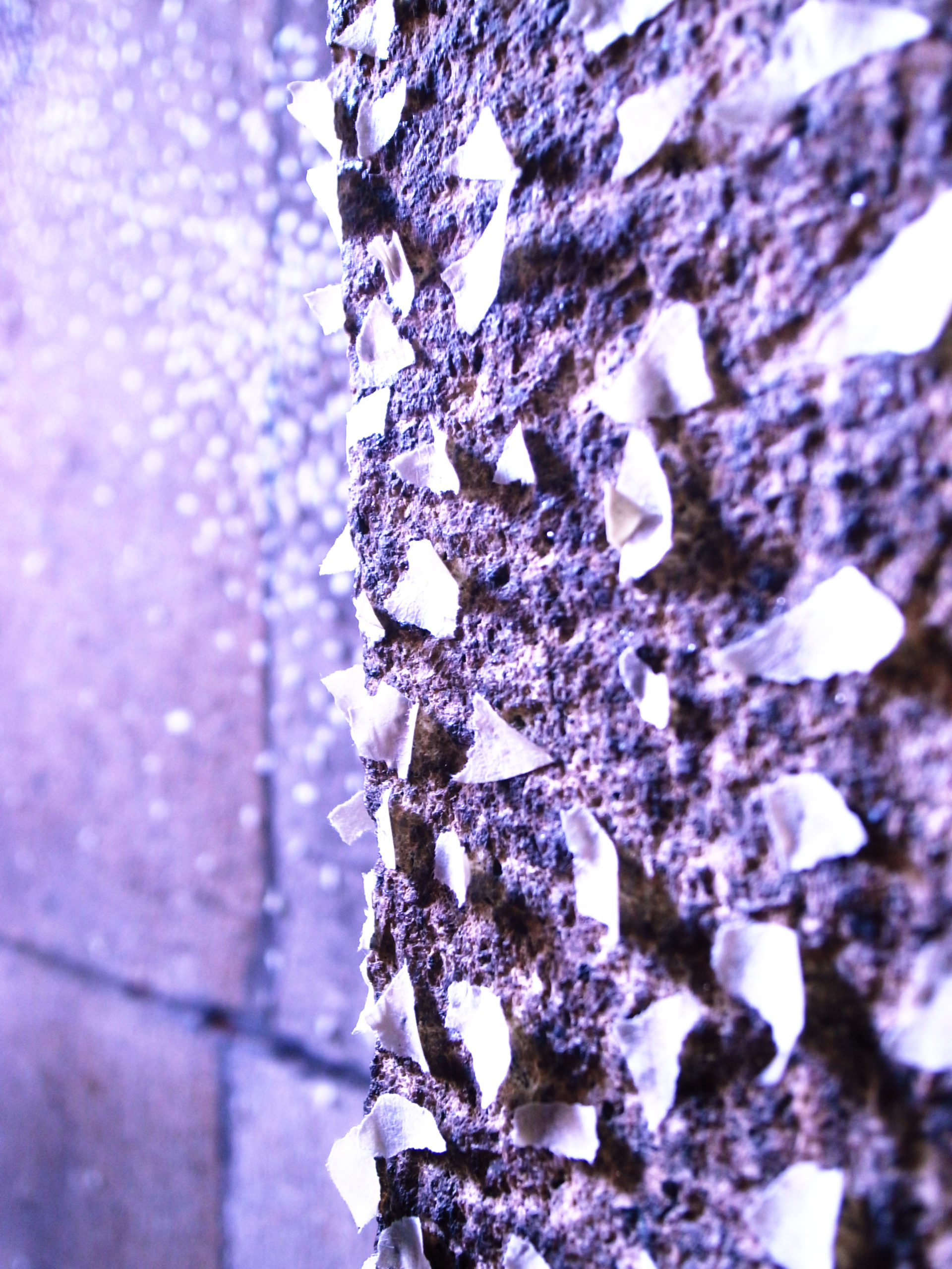 【◉】016 Tomoko Takayama