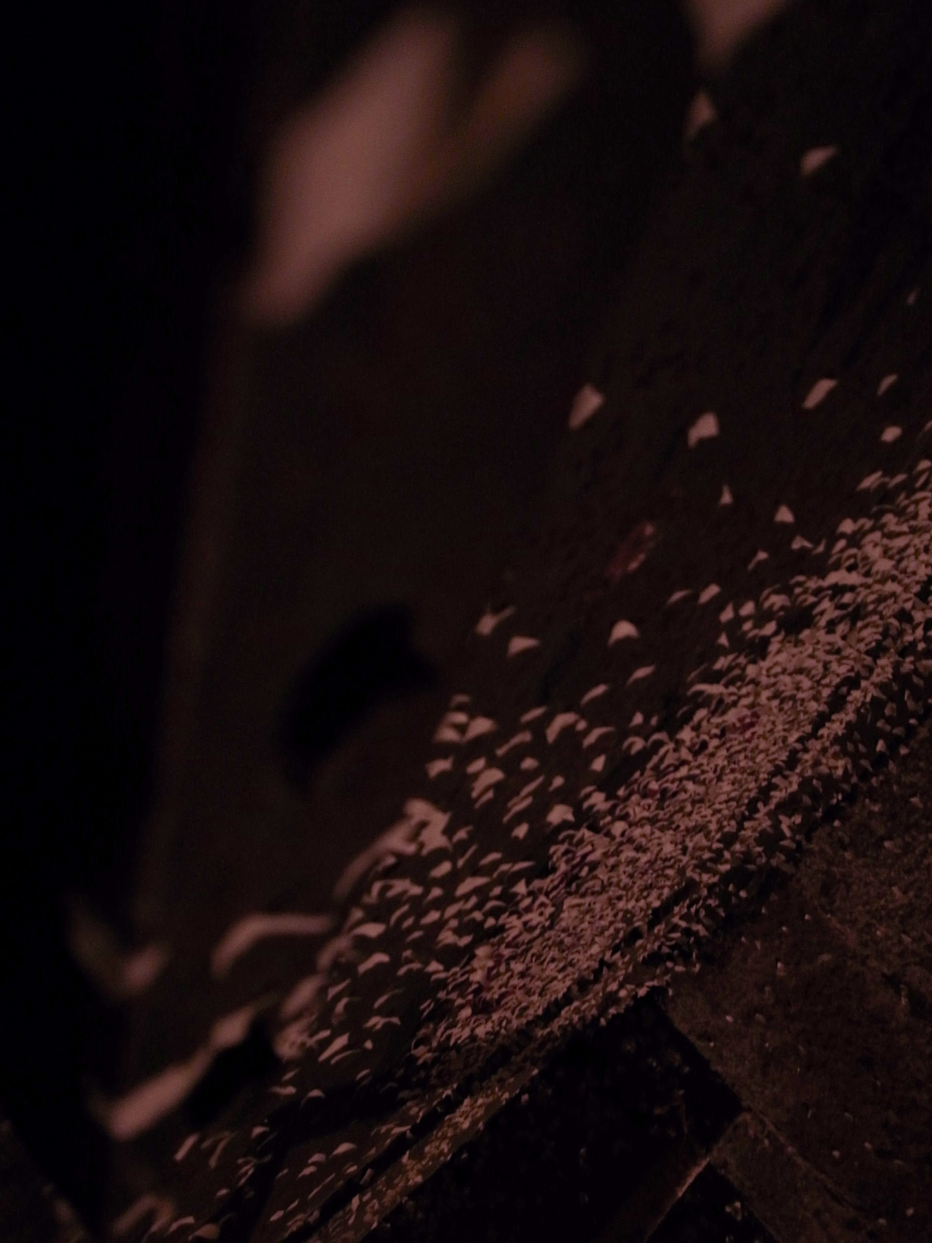 【◉】027 Tomoko Takayama