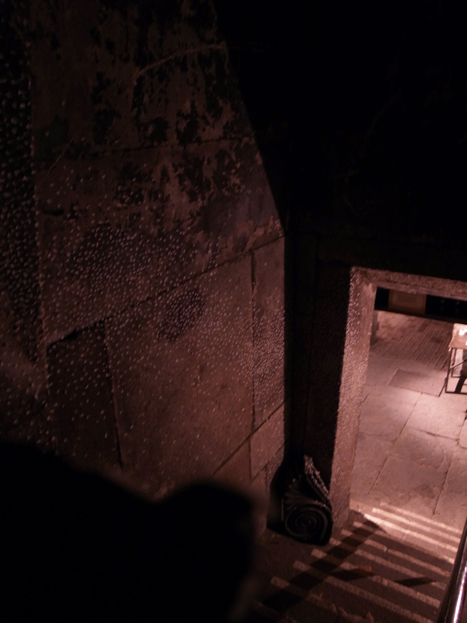 【◉】029 Tomoko Takayama