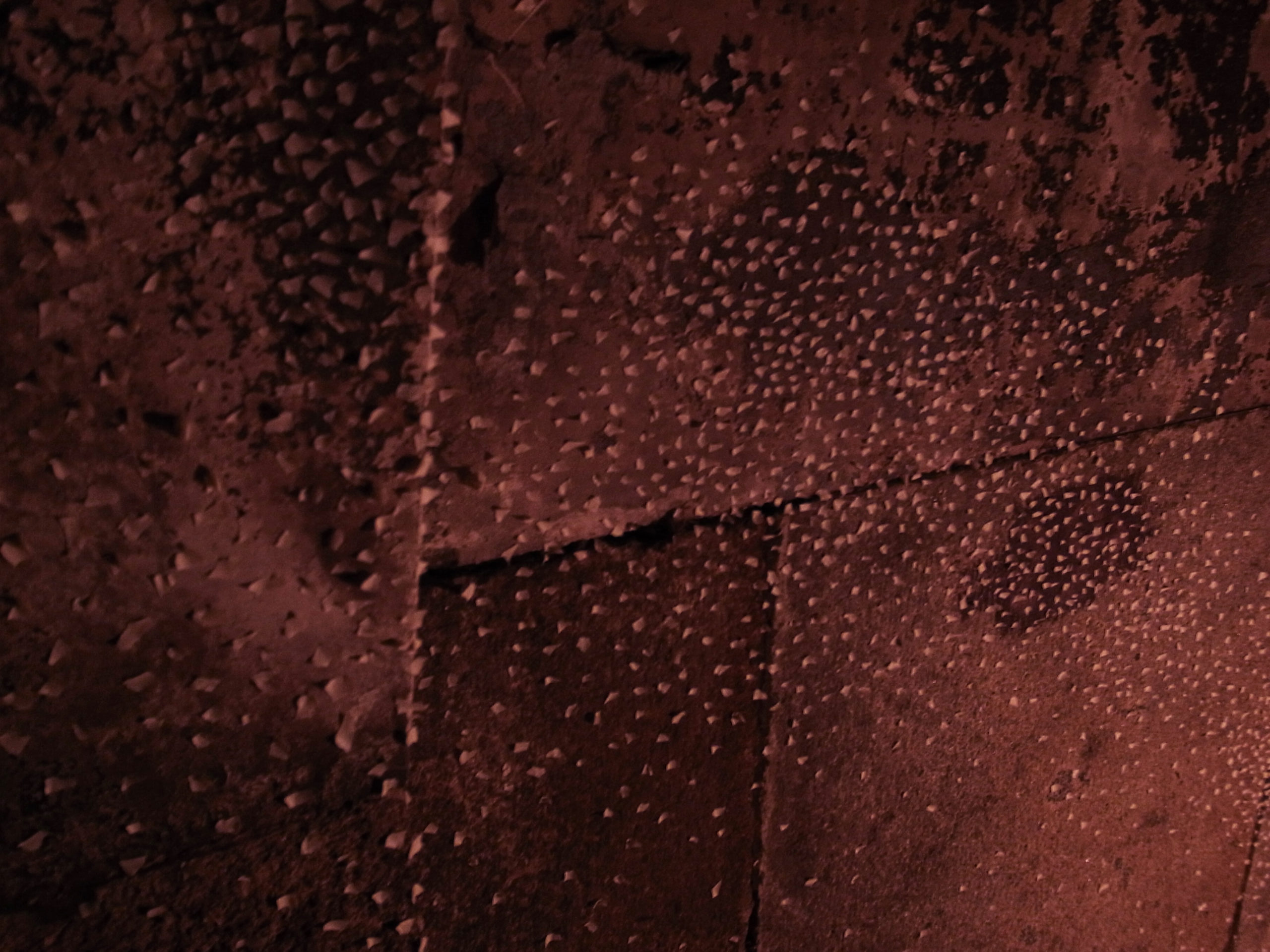 【◉】031 Tomoko Takayama