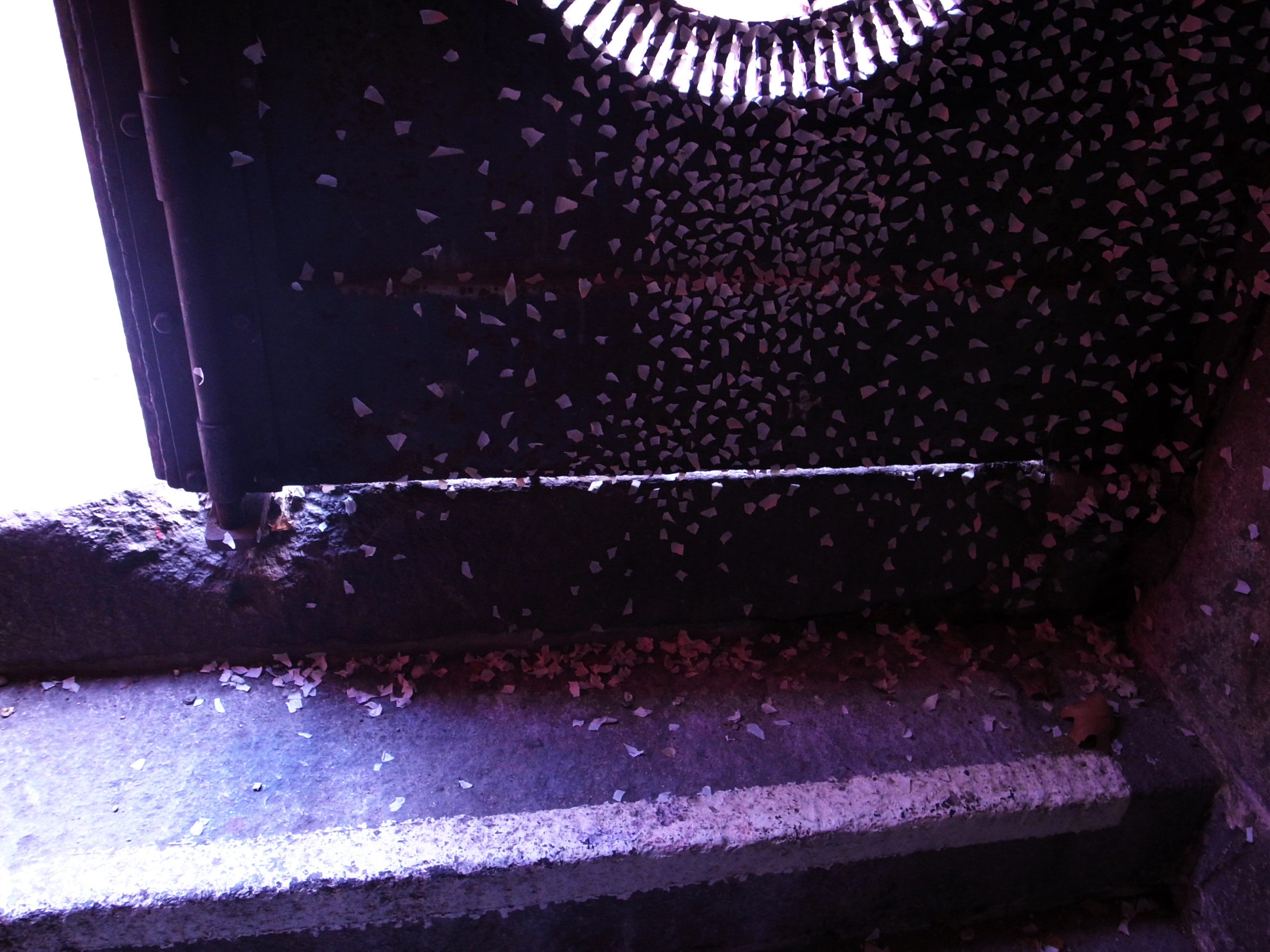 【◉】045 Tomoko Takayama