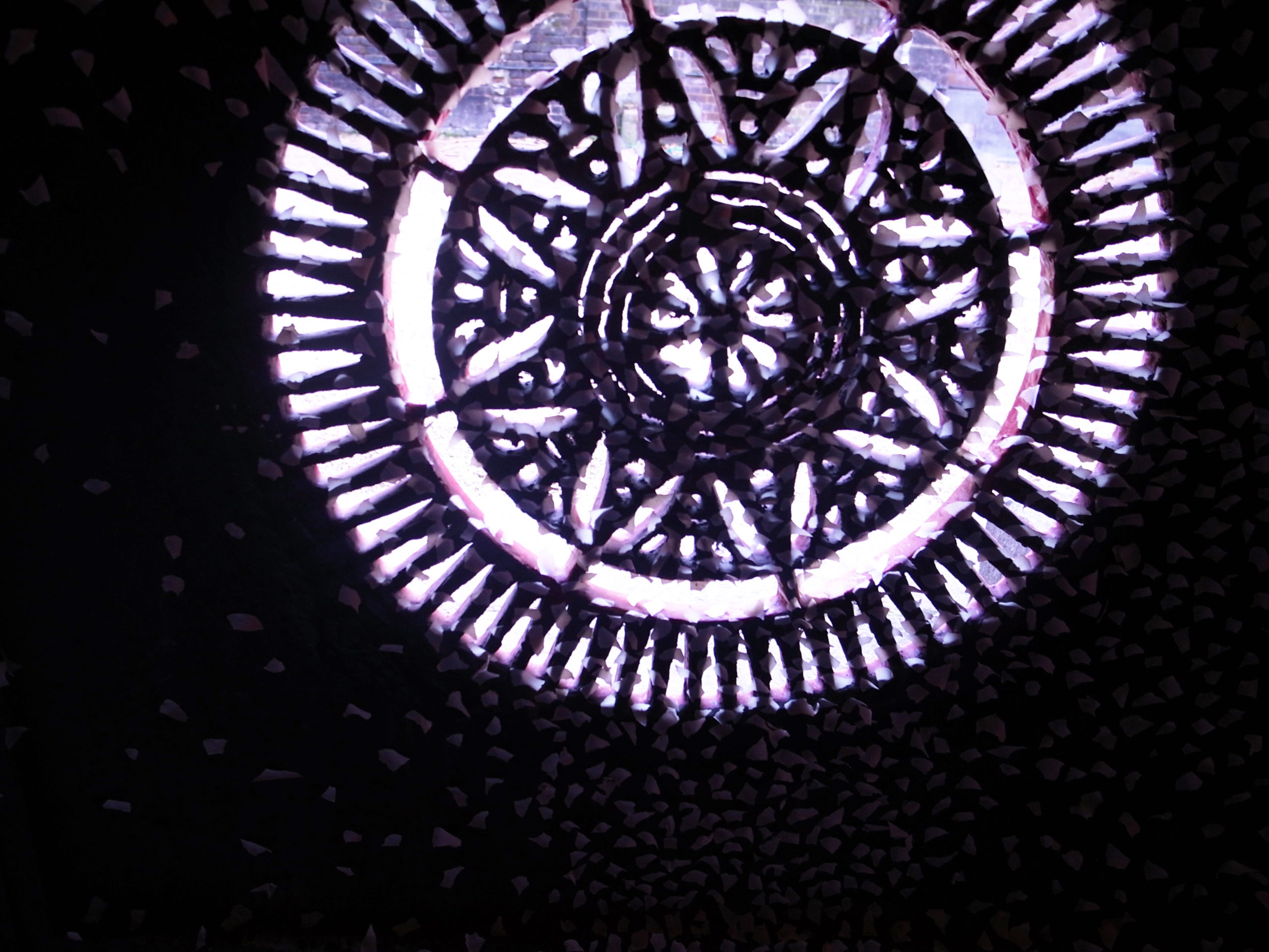 【◉】049 Tomoko Takayama