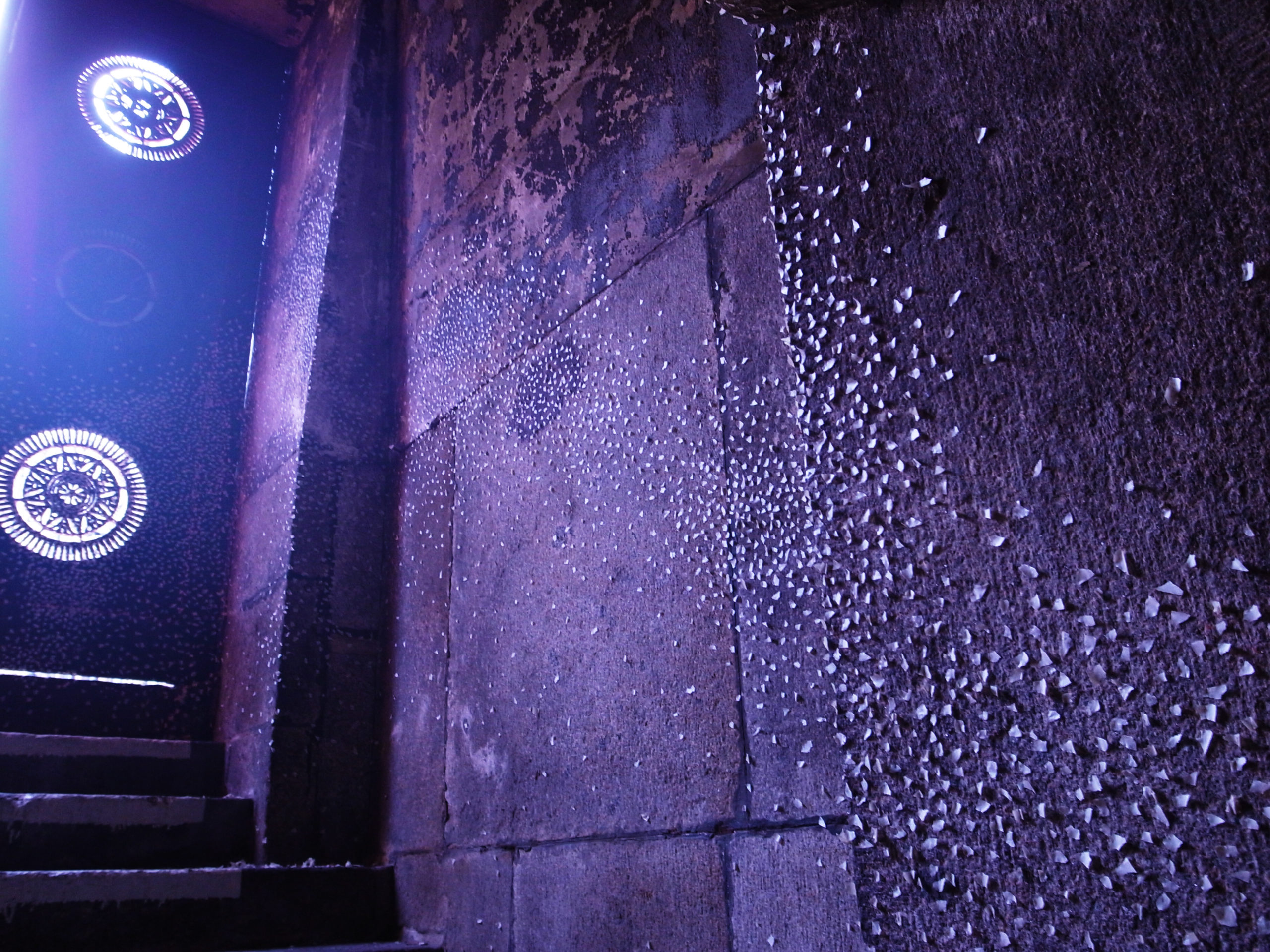 【◉】052 Tomoko Takayama